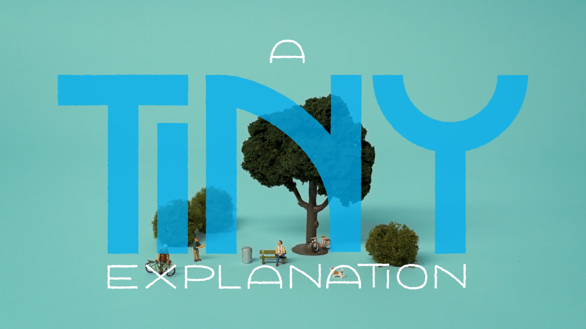 Video and Animation in Edmonton