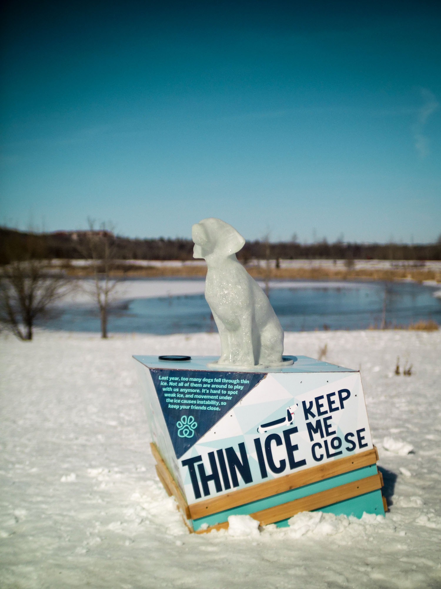 Edmonton Marketing Installation