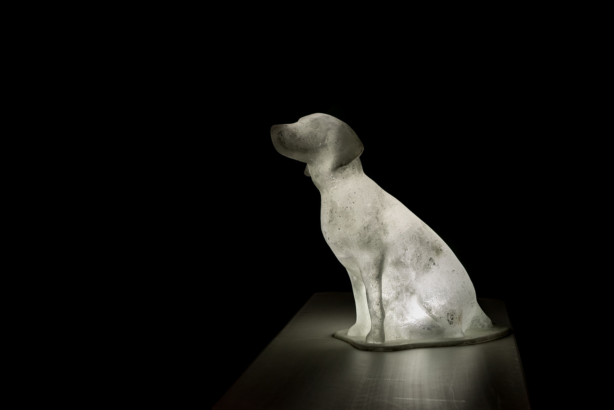 Installation design in Edmonton